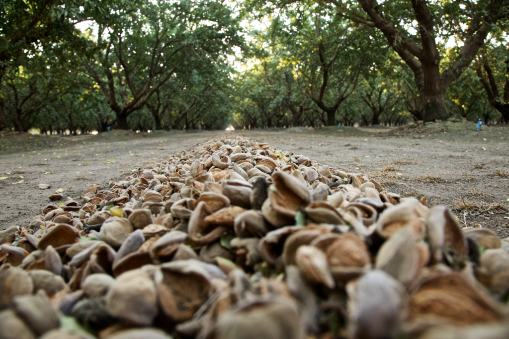 High Moisture Content Delivers Lower Returns, Greater Damage
