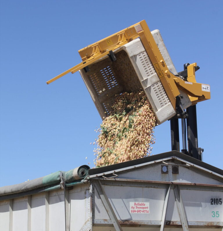 Pistachios May Need a Little Extra TLC This Post-Harvest