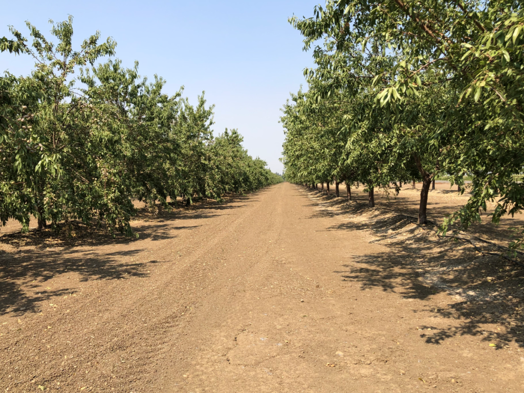 Herbicide Mode of Action Classification System Receives Important Revisions