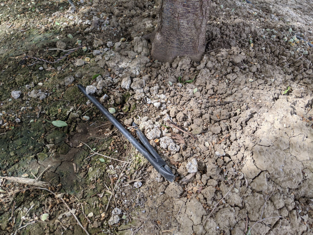Manipulating Soil Salt Content