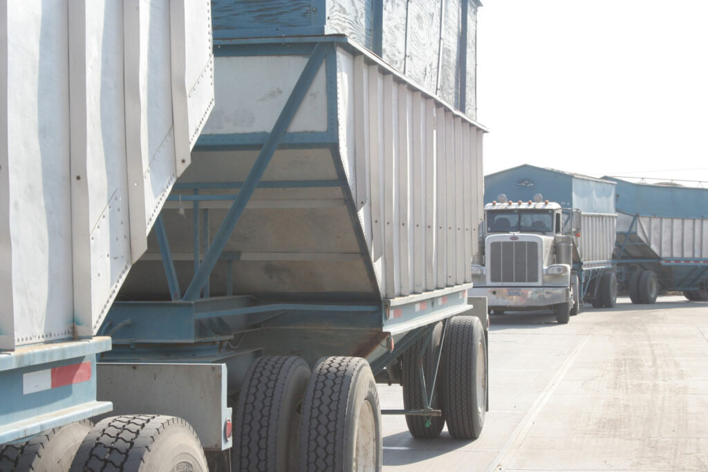 The Outlook for California’s Almond Market