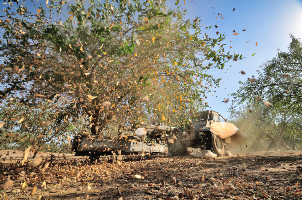 What It Could Mean for Californians if We Have Another Dry Year: The Good, The Bad, and The Ugly