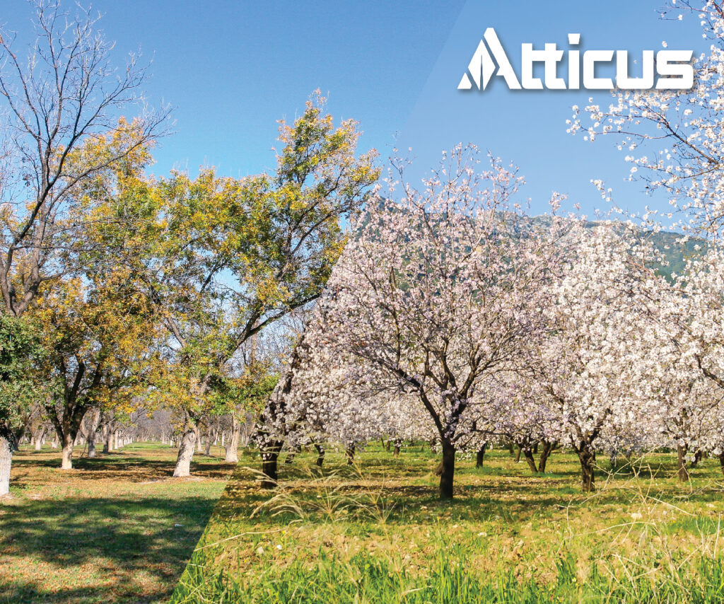Protect Tree Nut Quality Yield