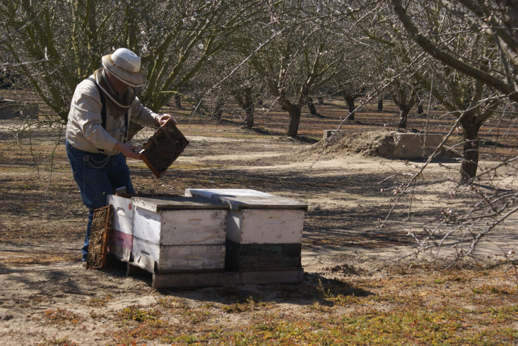 Start Thinking about Pollinator Contracts
