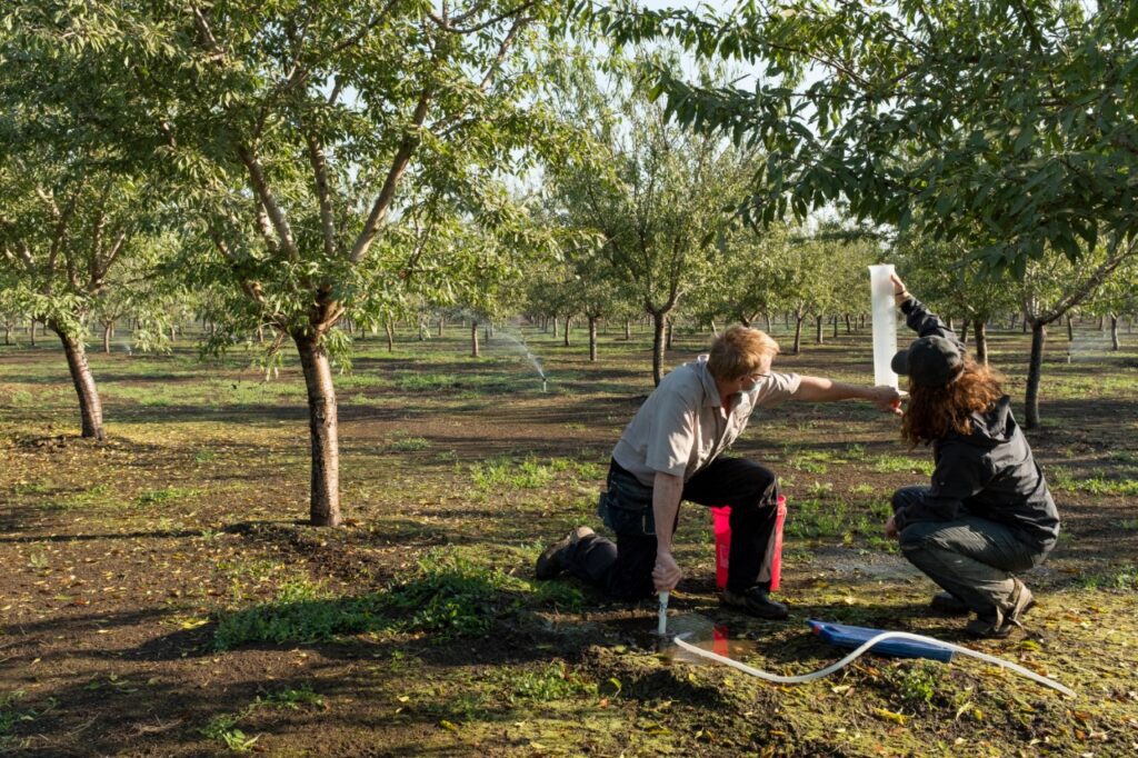 Time to Evaluate Irrigation Systems