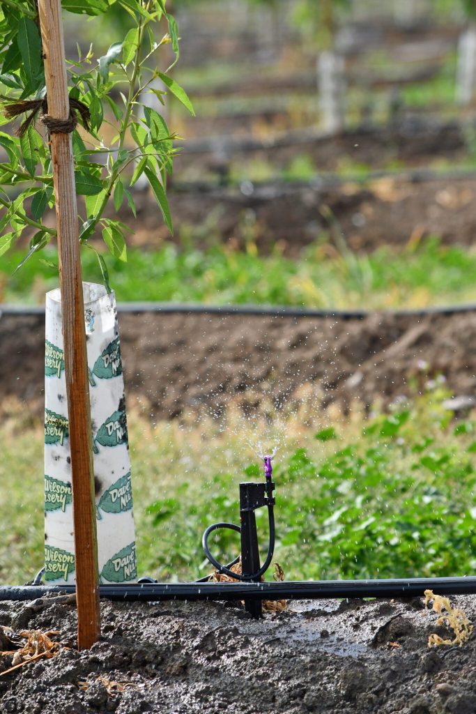 No Mandatory Testing for Farms in New Proposed Water Requirements of the Produce Safety Rule