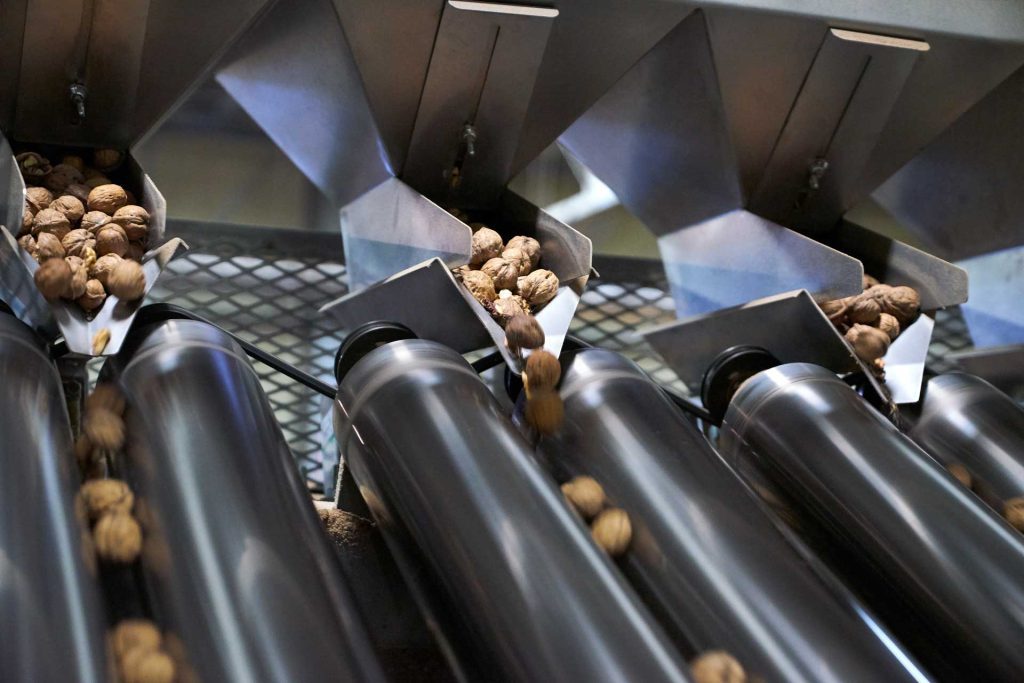 Regulatory Issues Challenge Walnut Growers