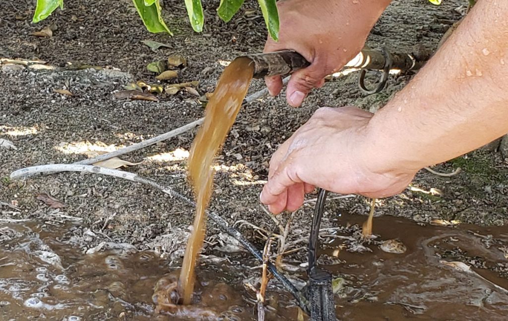 Proactive Maintenance is Key to Success with Buried Drip Irrigation Systems