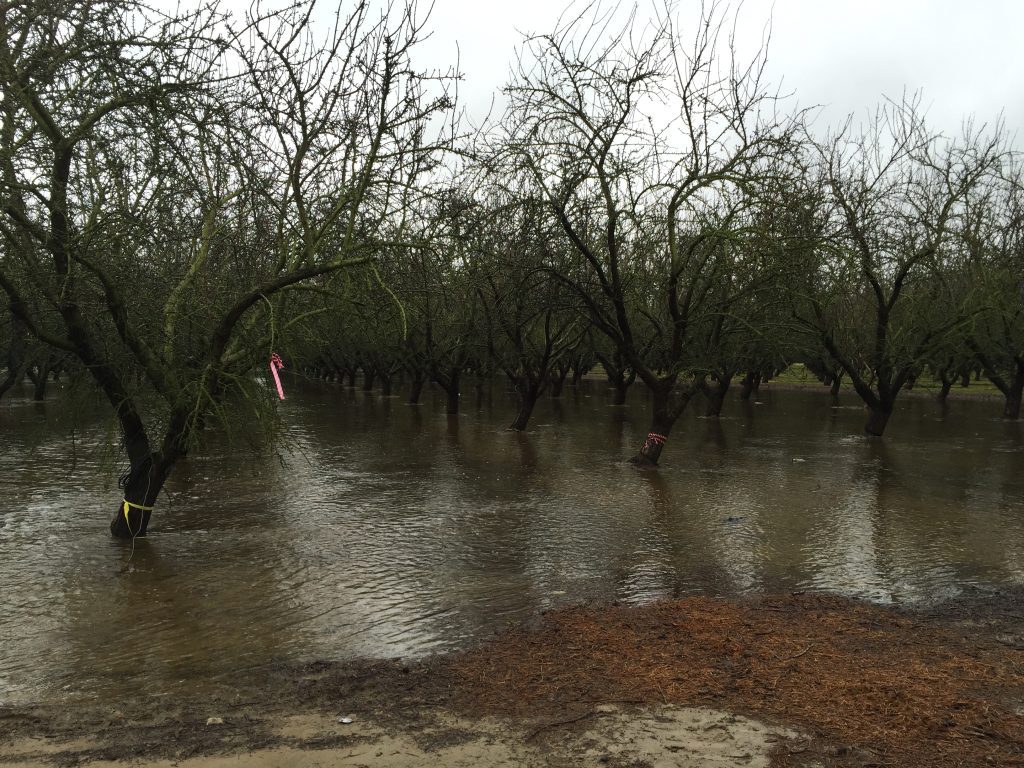 Recent Rains Prompt Considerations for Groundwater Recharge Options