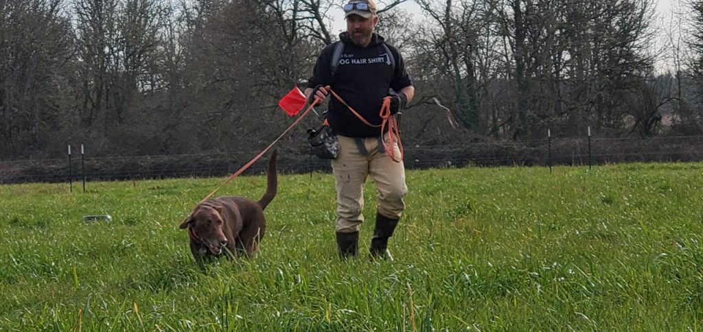 Canine Assisted Vole Scouting Shows Promise
