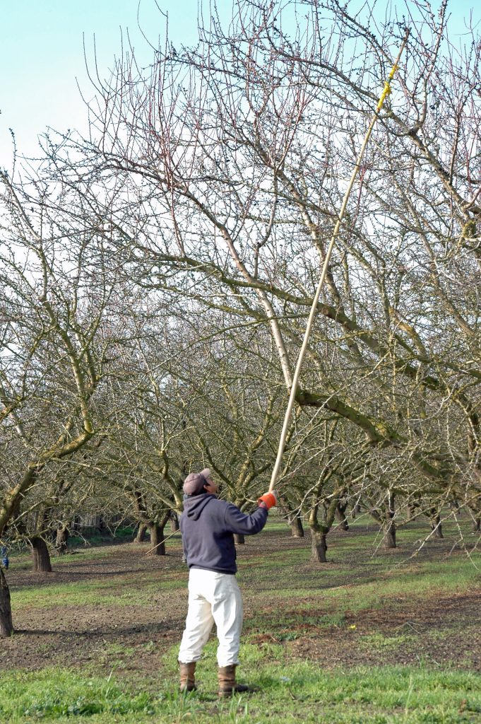 Frugality Isn’t the Answer When Managing Crop Inputs in Tough Times