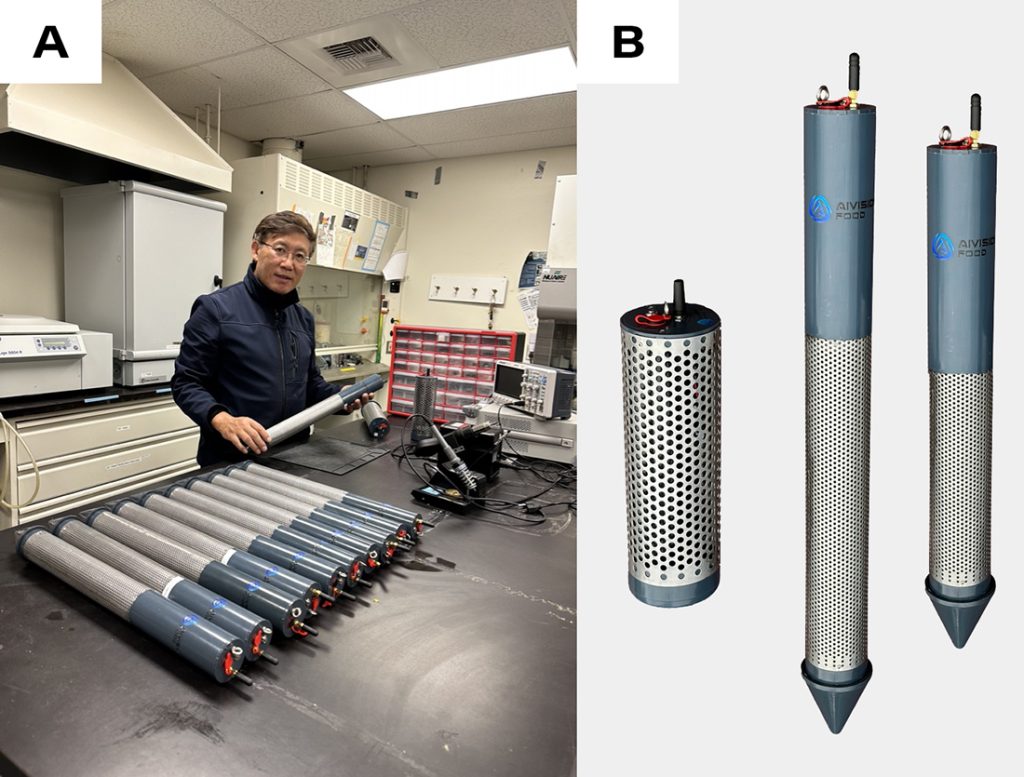 SmartProbe Technology for Early Post-harvest Insect Pest Detection and Environmental Monitoring