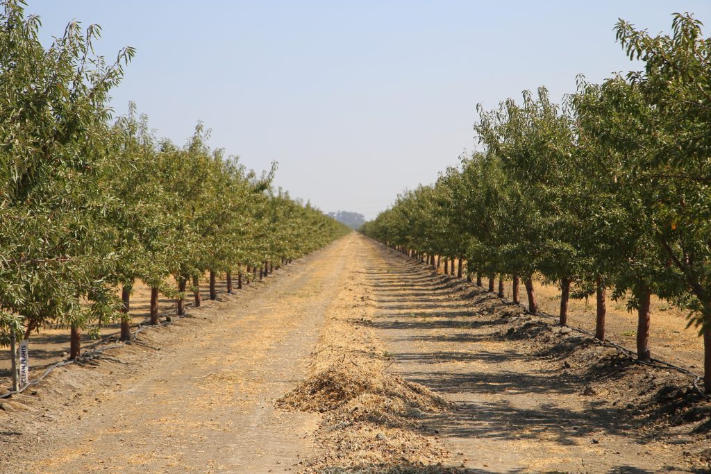 Get to the Finish Line with Postharvest Nutrition