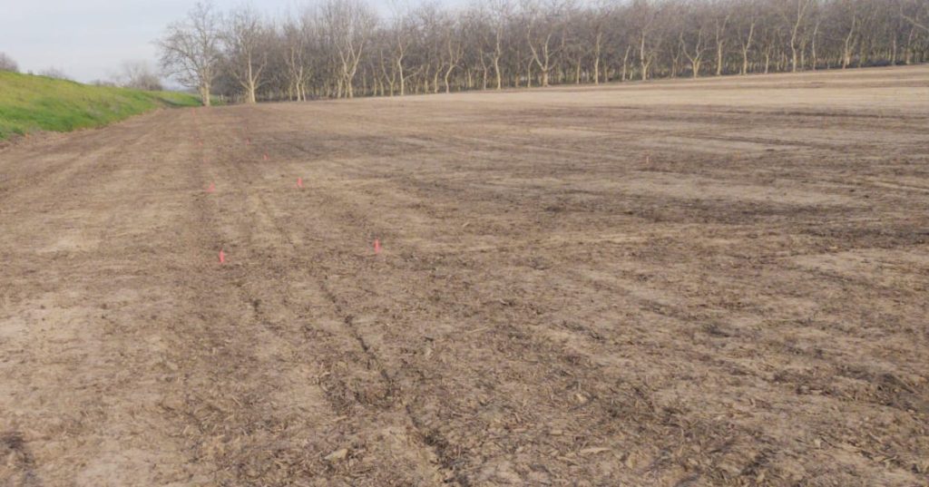 New Program for Growers Takes a Stab at California’s Groundwater Crisis