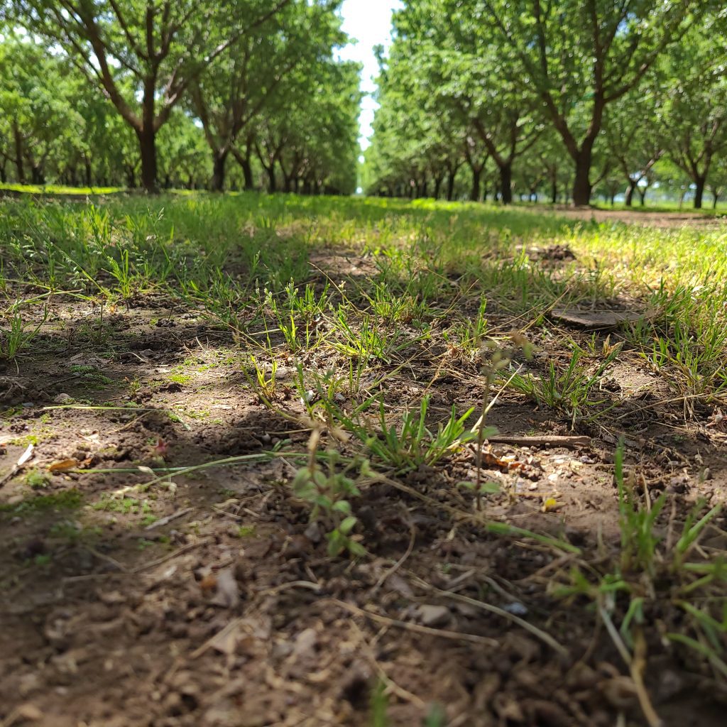 Workshop Explores Water, Nitrogen Use Efficiency to Reduce Environmental Impact
