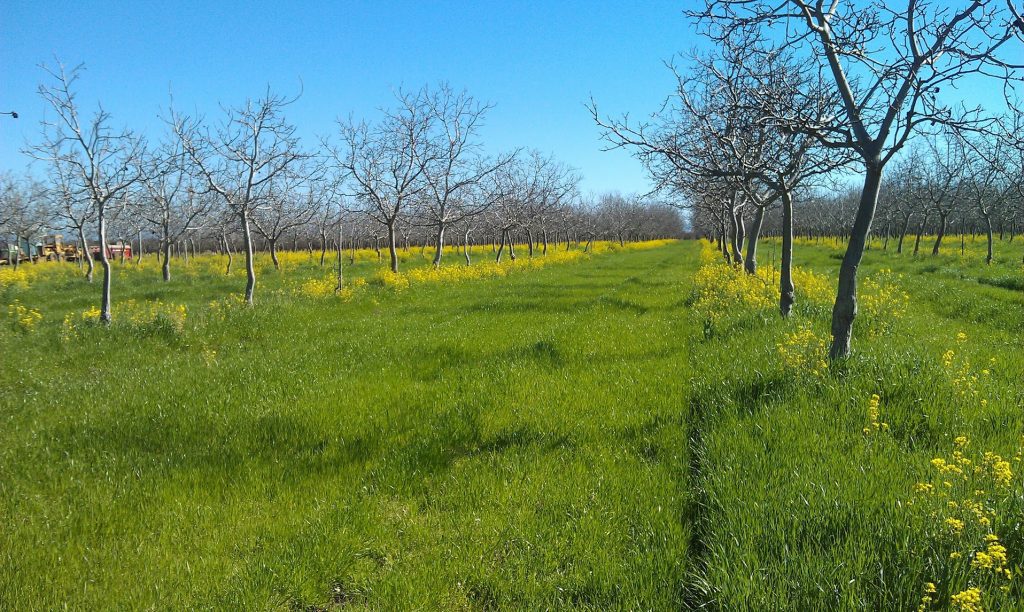 Focus of New Organic Standards Falls on Handlers, Processors