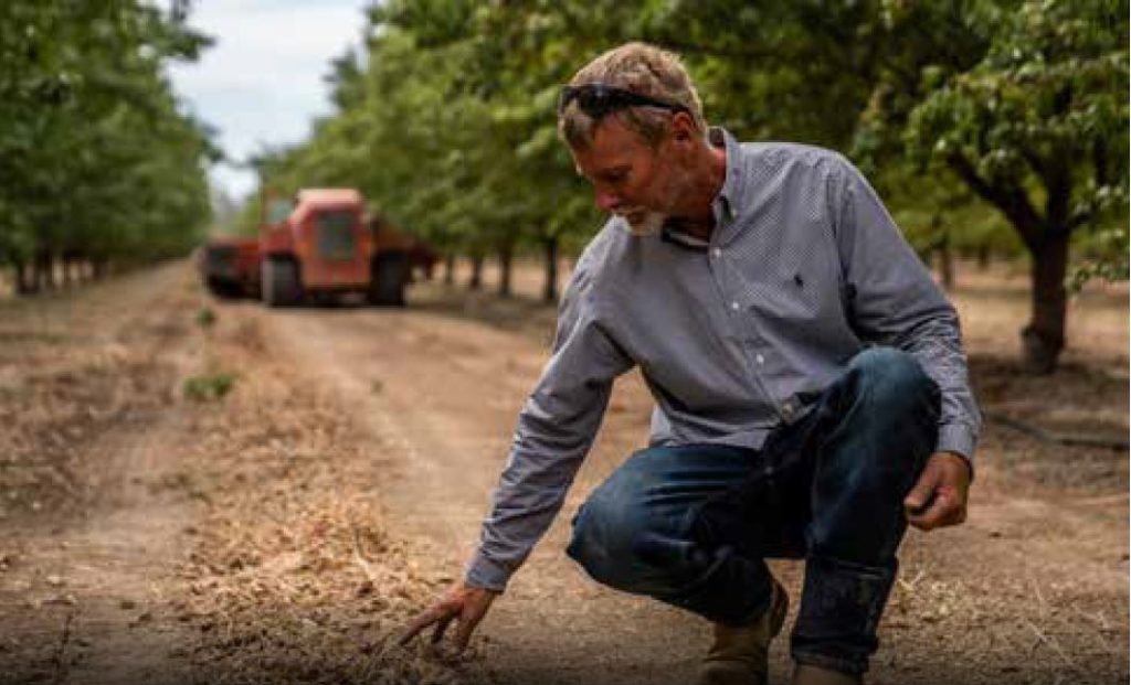 The Importance of a Year-End IPM Assessment