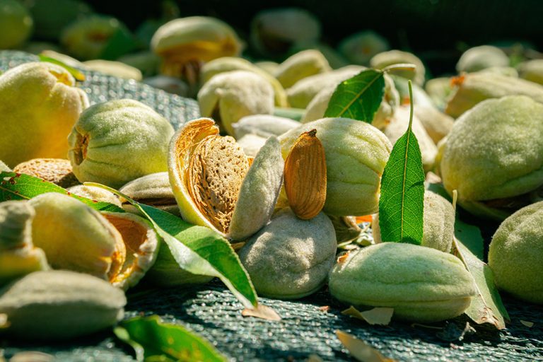 Nail Down Your Macros and Micros: Don’t miss out on critical postharvest nutrition this year