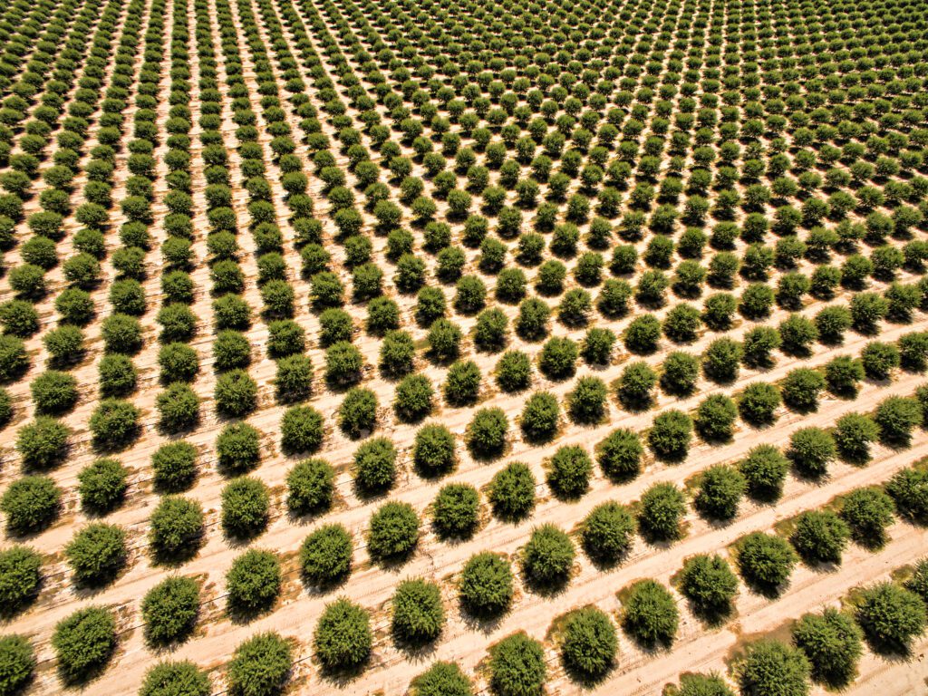 Start the Season Off Right: Fertilize with confidence when chill is inadequate and water is decent