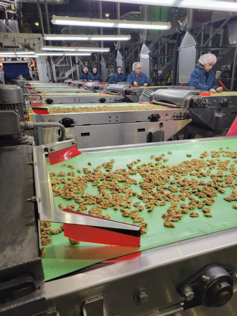Preparing for Produce Safety Rule Inspections: What to Expect and How to Get Ready