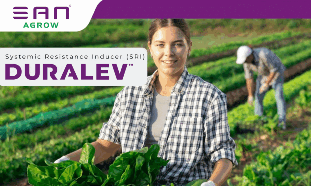 SAN Agrow Signs Distribution Agreement with Agrauxine for Cerevisane® Technology and Launches Duralev™