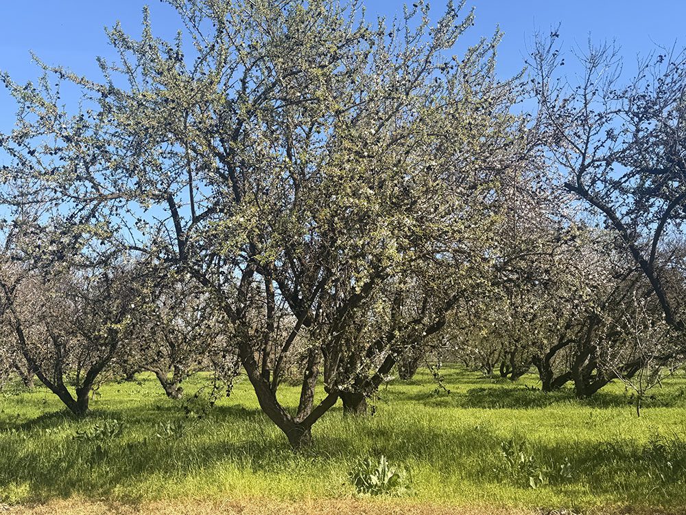 ABC Pest Management Workshop Highlights Controls