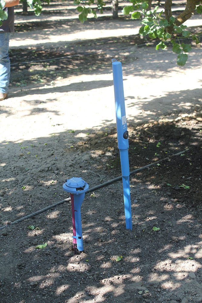 Plant-based irrigation helps overcome pistachio challenges