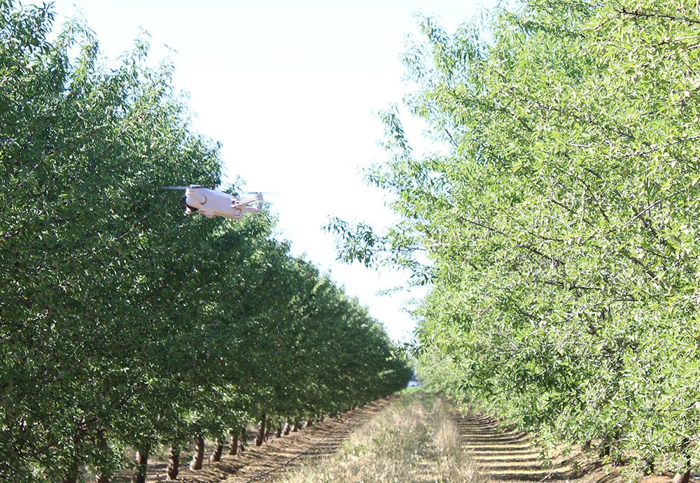 Where AgTech Delivers Real Returns in Nut Orchards