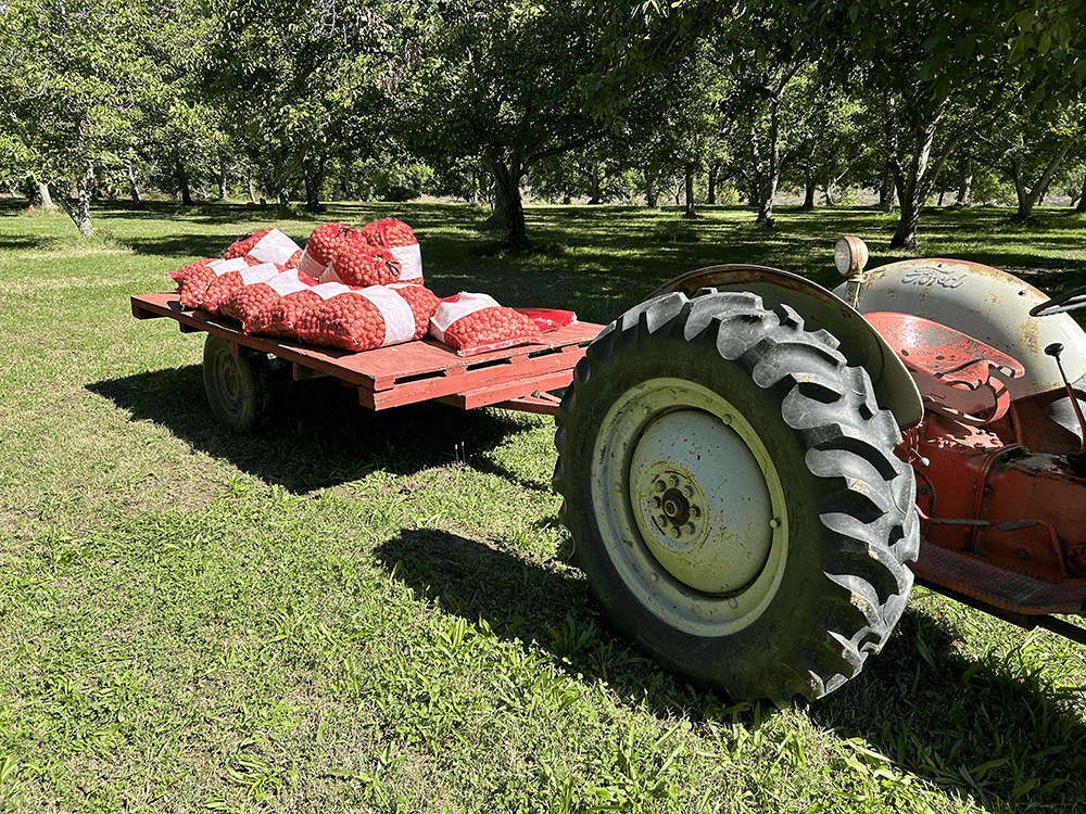 From the Orchard: Growers Share Their Direct-to-Consumer Success Stories