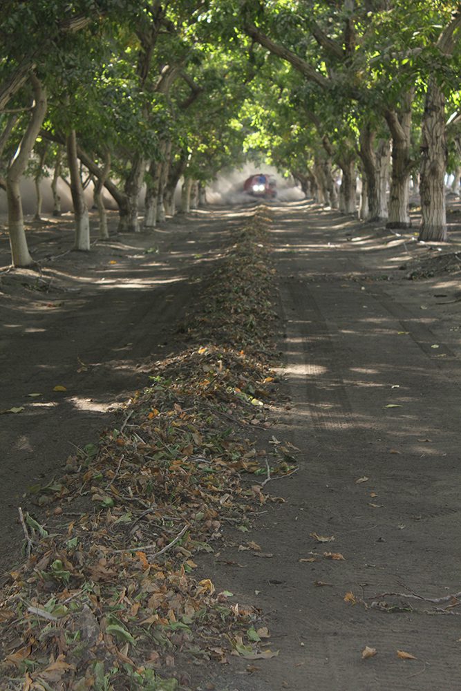 WHAT I’M WATCHING: What Harvest Is Telling You About Next Year’s Crop