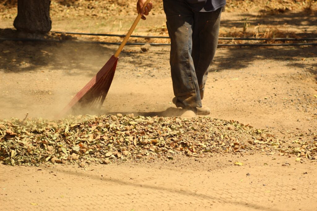 Harvest is the culmination of months of decisions, investment and work in the orchard. Behind each crop are the growers, employees and families who keep California’s nut industry moving.