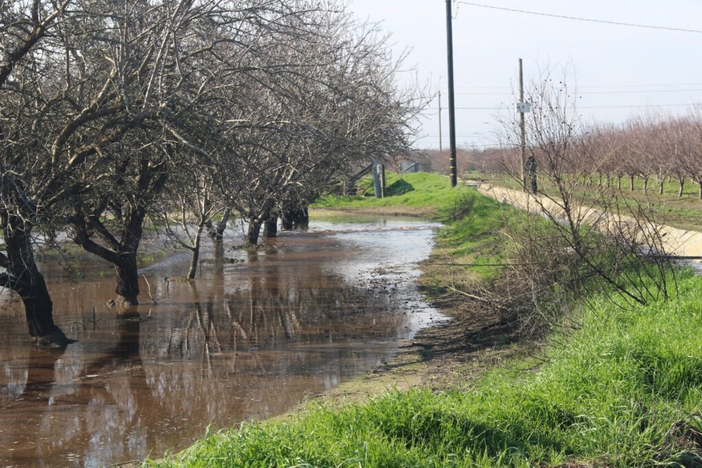 Wet winters can create challenges for orchard management, but excess surface water may also provide opportunities for groundwater recharge where site conditions are suitable