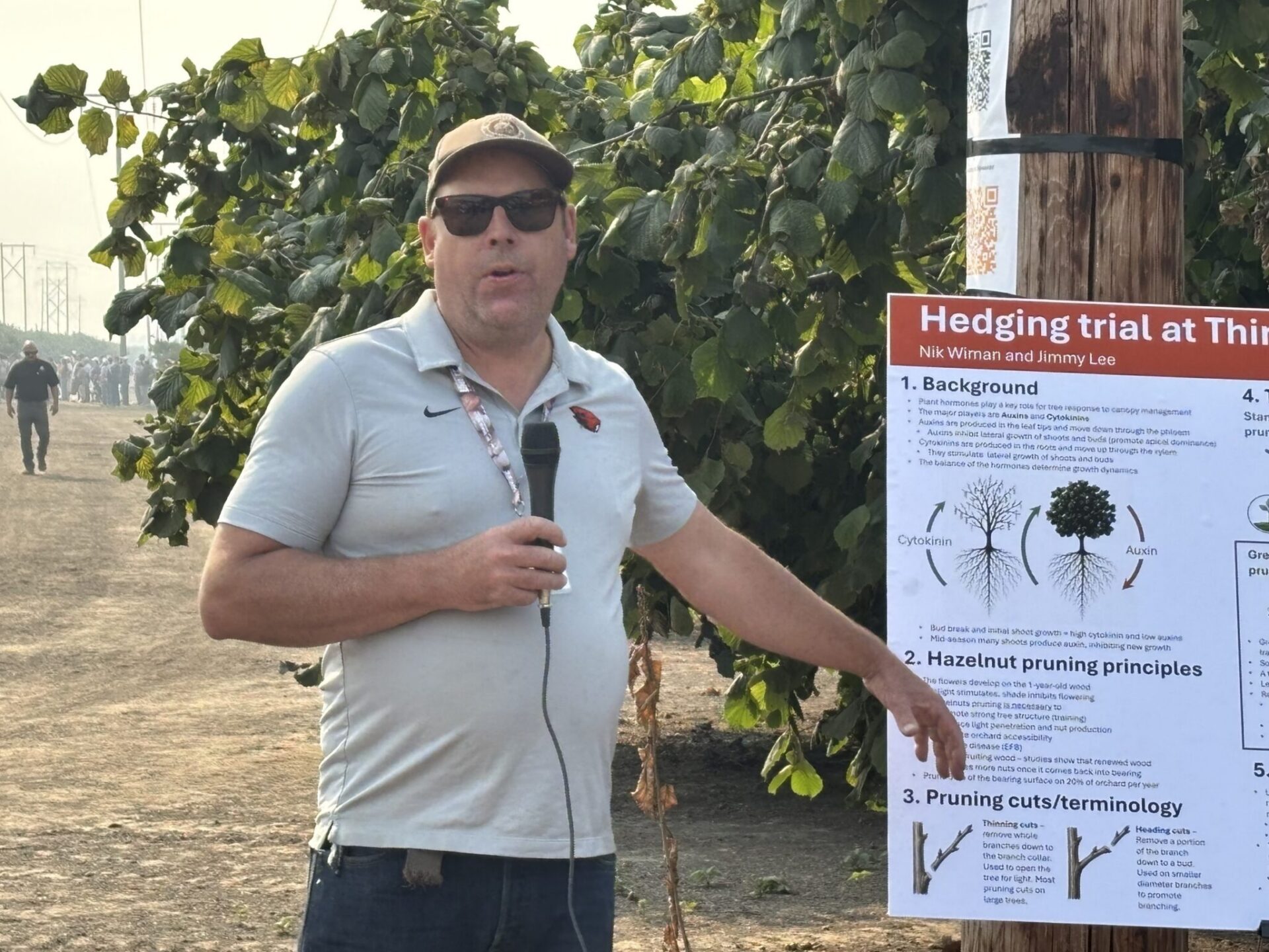 Oregon State University Extension Orchard Crops Specialist Nik Wiman talks about the many benefits of heavy pruning and hedging in hazelnuts at the Nut Growers Society Summer Tour in Albany.