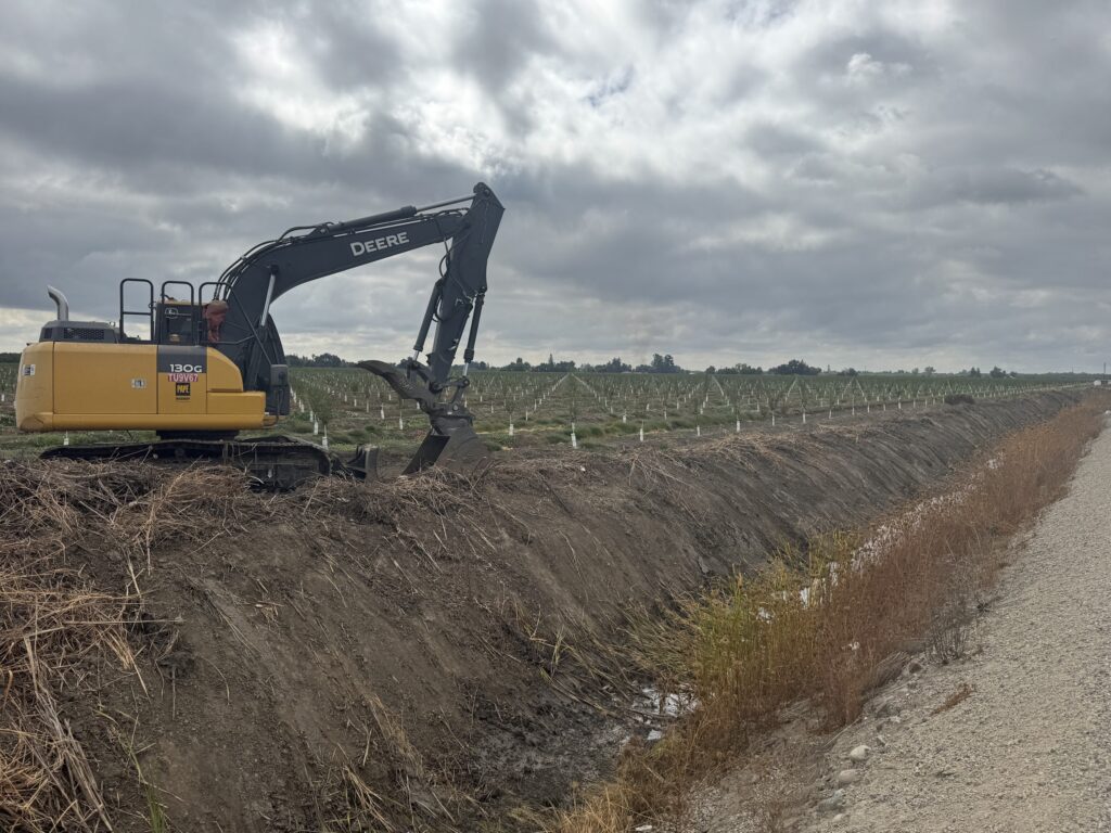 Ditch cleaning near a young orchard in Sutter County. Keeping downstream ditches open and free flowing can help move runoff away from orchards during heavy rain