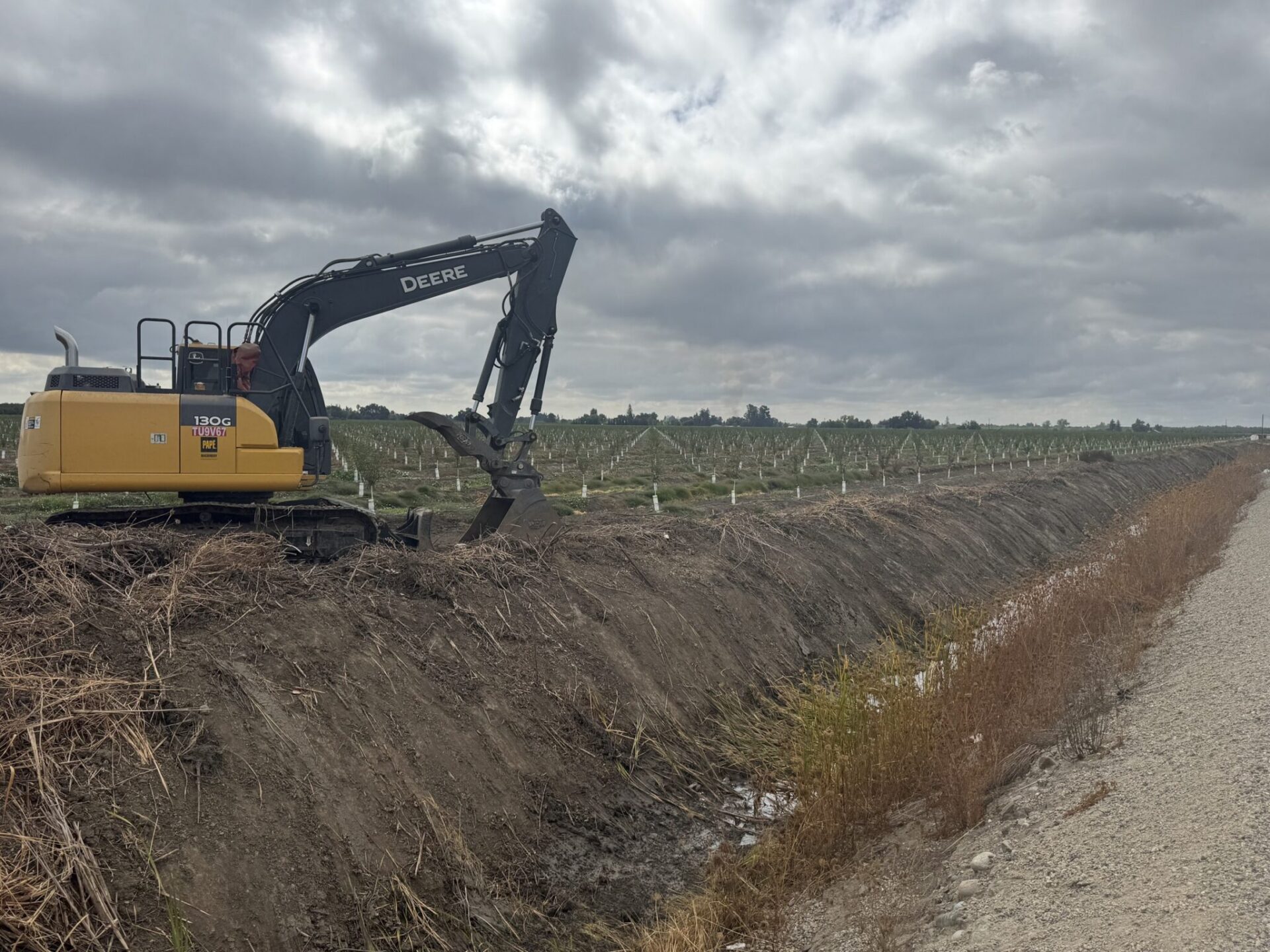 Ditch cleaning near a young orchard in Sutter County. Keeping downstream ditches open and free flowing can help move runoff away from orchards during heavy rain