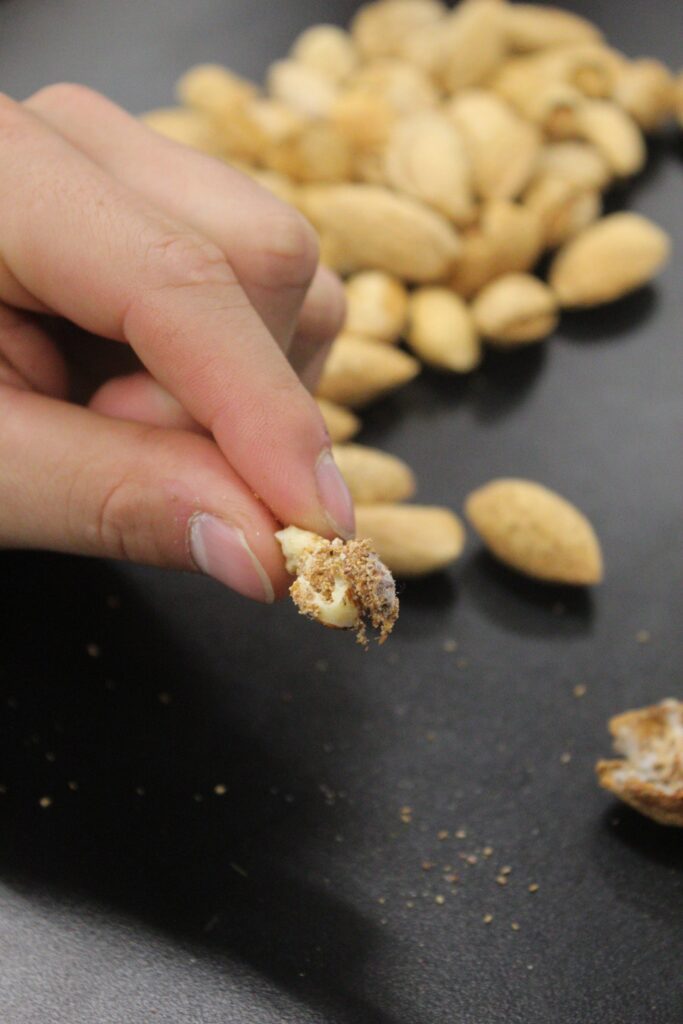 Examining almond samples helps growers and PCAs identify damage and evaluate pest management results before planning the next season